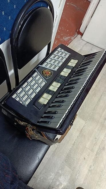 Комузы: Акордеон Royal Standard - Классический клавишный аккордеон Royal — 2