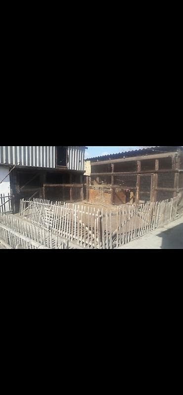 проек дом: Продаётся частный дом с хозяйственными постройками и двором — 1