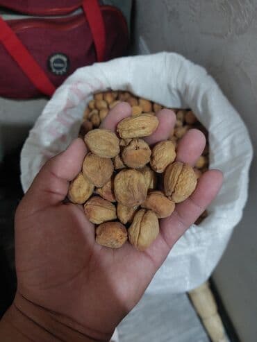 жасалма гулдор: Лейлектин жесең өрүгүн көтөрүлөт көңүлүң, күнүдө 1,2 ден жеп турсаң — 1