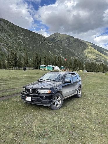 е70 e70: BMW X5: 2002 г., 3 л, Автомат, Дизель, Кроссовер — 1