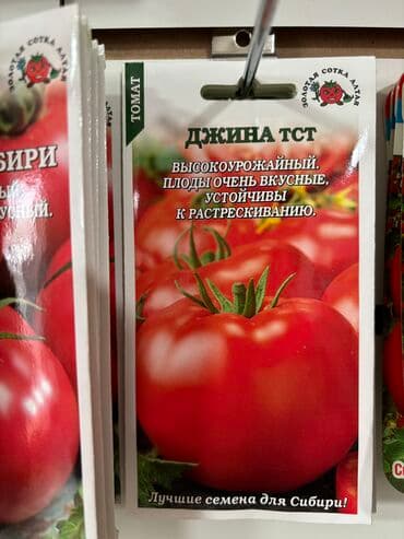 рассада помидор купить: Семена помидоров по 25 сомов «Джина ТСТ» «Лонг кипер» «Янтарное — 1