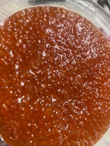 Охлажденный