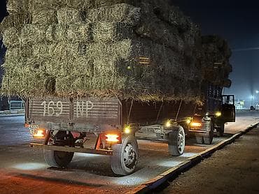 sprinter 4 4: Продаю луган, пол метал, дышло новое, без доков цена 250т.с — 3