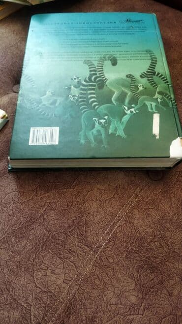 камуфляж форма бишкек: Продаю энциклопедию . 400 страниц в хорошем состоянии. твердый — 2