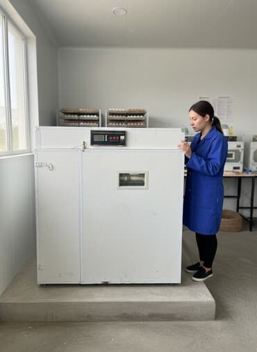 оборудование шиномонтаж: Промышленный инкубатор для яиц с электронным контроллером температуры — 1