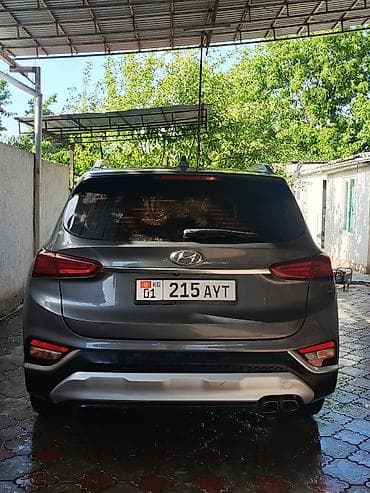 model y: Hyundai Santa Fe: 2019 г., 2 л, Автомат, Дизель, Кроссовер — 6