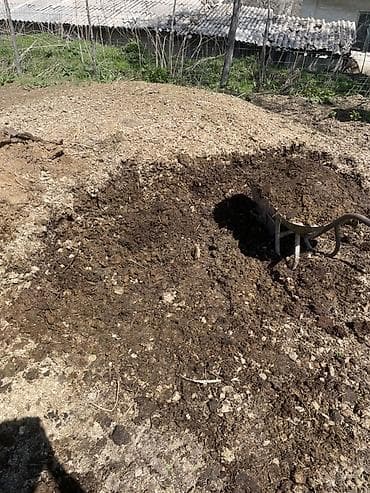 1 портер кык бар бекер жуктоп кеткиле