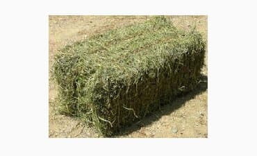 Клевер беде 400