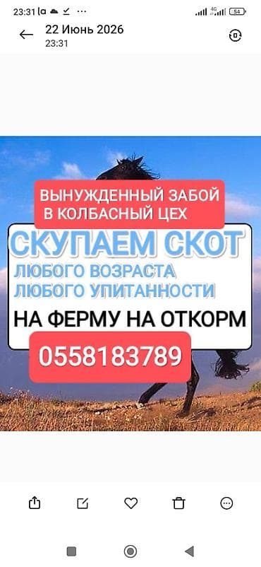 Айыл-чарба жаныбарлары: Колбаса цехи : Башка а/ч жаныбарлары, | Бордоп семиртүү үчүн — 1