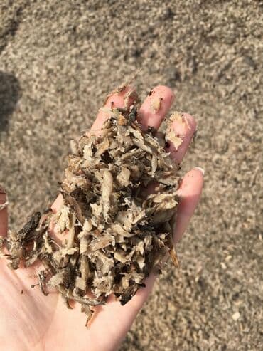 кой сойу: Жом жом жом жом доставка по городу и области Чуйской области жом для — 2