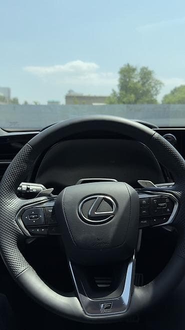 model x: Lexus TX: 2025 г., 2.4 л, Автомат, Гибрид, Кроссовер — 9