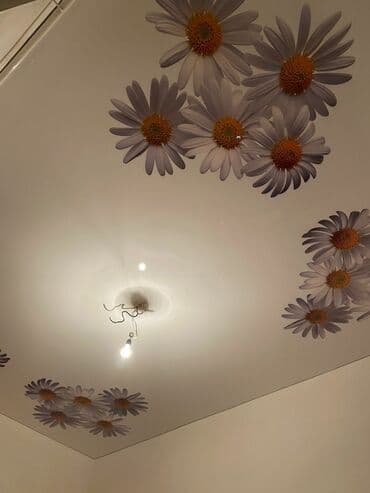 где купить магнитную щетку для мытья окон: Натяжные потолки — 9