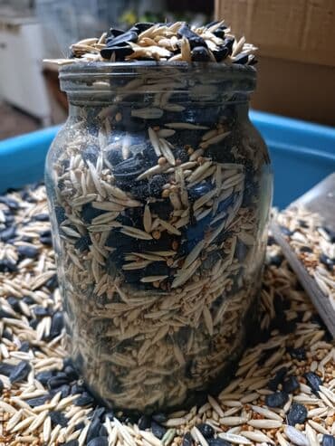 чехлы для когтей кошек: Корм для попугайчиков. А так же минеральный камушек для стачивания — 10