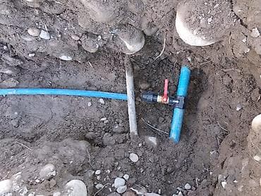 бассейн дельфин: Сантехник — 2