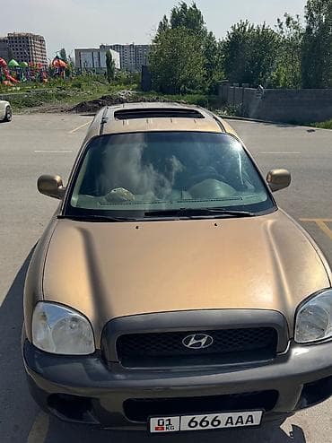 Продажа авто: Hyundai Santa Fe: 2003 г., 2.7 л, Автомат, Газ, Внедорожник — 7