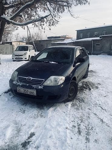 Toyota Corolla: 2004 г., 1.6 л, Механика, Бензин, Седан