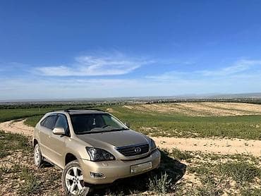 продаю или меняю на дом: Lexus RX: 2004 г., 3.3 л, Автомат, Бензин, Кроссовер — 7