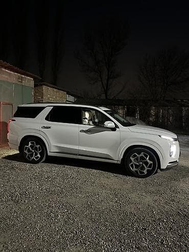корейский опалобки: Hyundai Palisade: 2020 г., 2.2 л, Автомат, Дизель, Внедорожник — 8