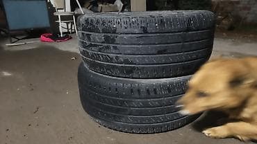 diski r20: Шины 245 / 45 / R 19, Лето, Б/у, Пара, Внедорожные (АТ/МТ), Корея, Kumho — 3