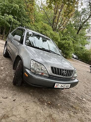 Lexus RX: 2002 г., 3 л, Автомат, Бензин, Кроссовер