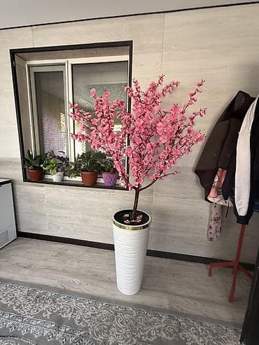 Декоративное цветущее дерево с розовыми соцветиями в высоком напольном