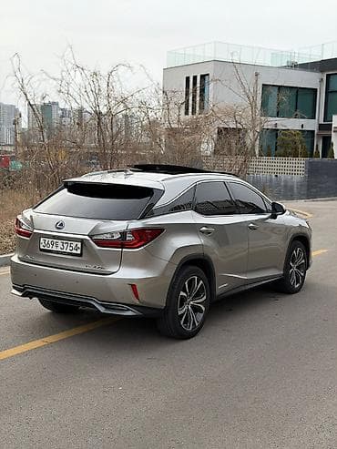 e53 4 8: Lexus RX: 2019 г., 3.5 л, Гибрид — 5