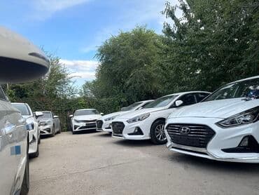 авто в рассрочку: Hyundai Sonata: 2017 г., 2 л, Типтроник, Газ, Седан — 3