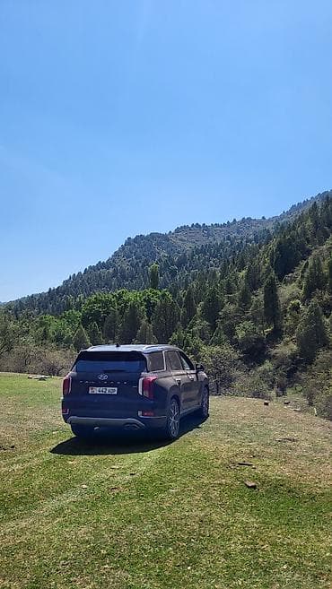 neta ls: Hyundai Palisade: 2019 г., 2.2 л, Автомат, Дизель, Универсал — 10