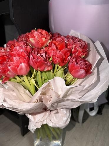цветок женское счастье цена: Отдам оба за 3к Отправил бывший. Кустовые Тюльпаны Свежие Только — 5