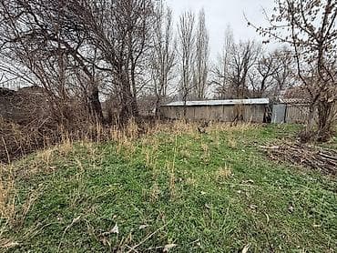 выбор: 18 соток — 4