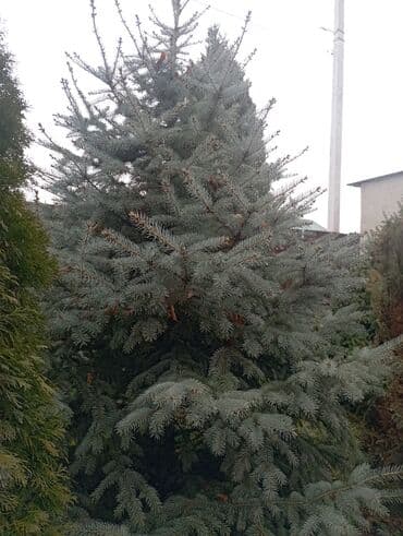 ароматные палочки: Декор для дома и сада — 6