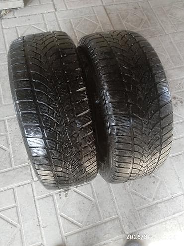 Зимние шины 225/55 R16 (ненашипованные) - Размер: 225/55 R16 - Сезон