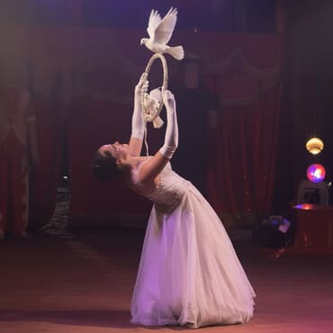 вакансии программиста бишкек: Танцор — 1