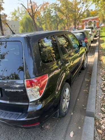 форестер продаю: Subaru Forester: 2008 г., 2.5 л, Автомат, Бензин, Внедорожник — 4