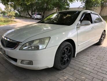 octavia: Ева полики Инспаер Хонда Ева Полики Бишкек Eva Полики Бишкек Ева — 4