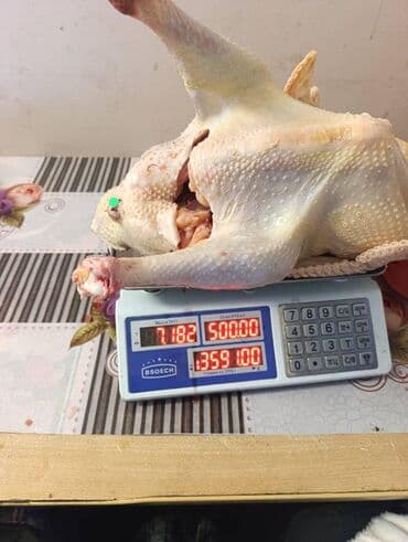 бравекто для собак бишкек: Индейки и куры разных пород - Домашнее поголовье индюков: черные — 6