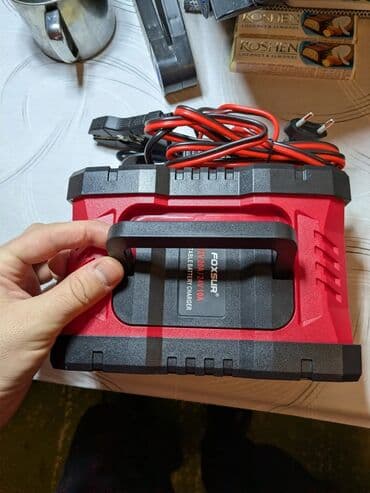 runx alex: Умное зарядное устройство для аккумуляторов FOXSUR FPT-200 (12V и 24V — 4