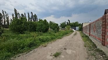 мкр аламедин 1: 80 соток, Бизнес үчүн, Кызыл китеп — 3