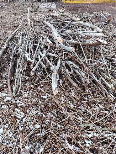 Бекерге берем: Отдам дрова даром, самовывоз! Лебединовка — 2