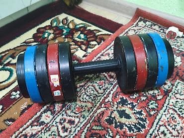 шорты длинные: Разборная гантель с набором дисков - Тип: разборная гантель на 20 — 2