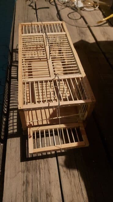 Грызуны: 1500 сом — 2