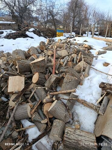 шкаф двустворчатый для одежды: Дрова — 6