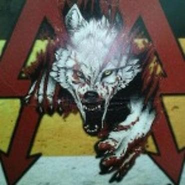 Ищу работу охранника поссмено огромный опыт работы