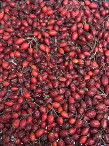 золотая жизнь гранатовый сок цена бишкек: Сухой шиповник — природный источник витаминов 🌿 Собран вручную в — 2