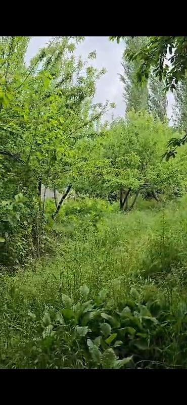 Недвижимость: Ноокат району Баглан айлыдан 20 сотик жер там сатылат. Ремонту орто — 9