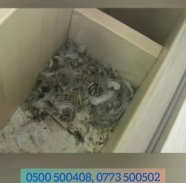 s 63: Химчистка мебели, | Подушки, одеяла — 7