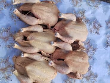 куринные кости: Бройлер :, 4 кг — 2
