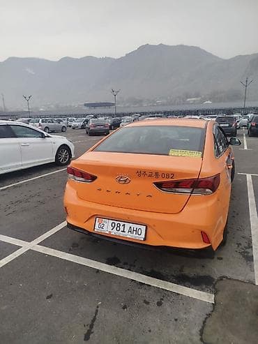 борт портер 2: Hyundai Sonata: 2019 г., 2 л, Автомат, Газ, Седан — 3