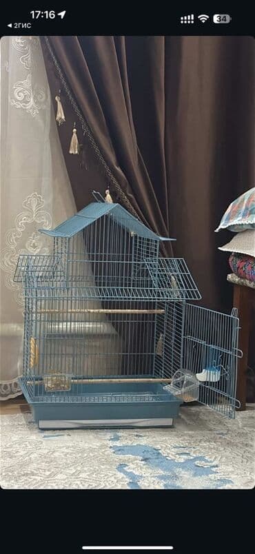 Иттер: Пара неразлучников (агапорнис) с клеткой. Отдадим в хорошие руки за — 2