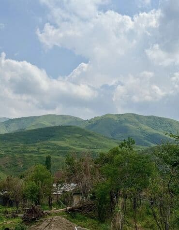 продаю участок таш добо: 11 соток, Для бизнеса, Красная книга — 4